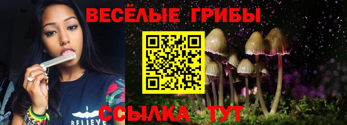 Урай  Псилоцибиновые грибы ЛСД  Вход с VPN 